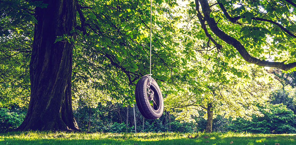 Swinging on a Tire Swing | For the Love of Trees