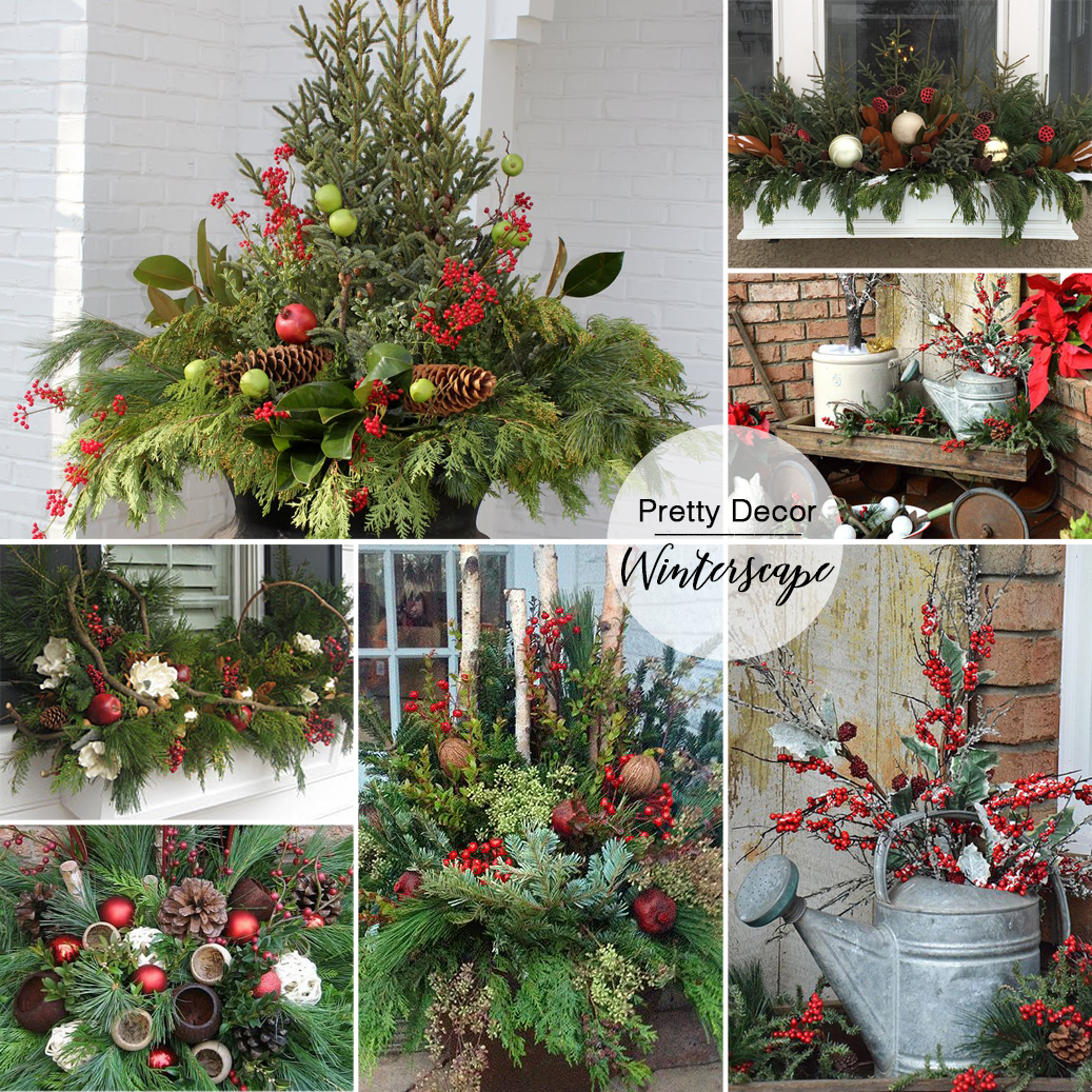 learn how to create a beautiful evergreen planter that will last all winter long