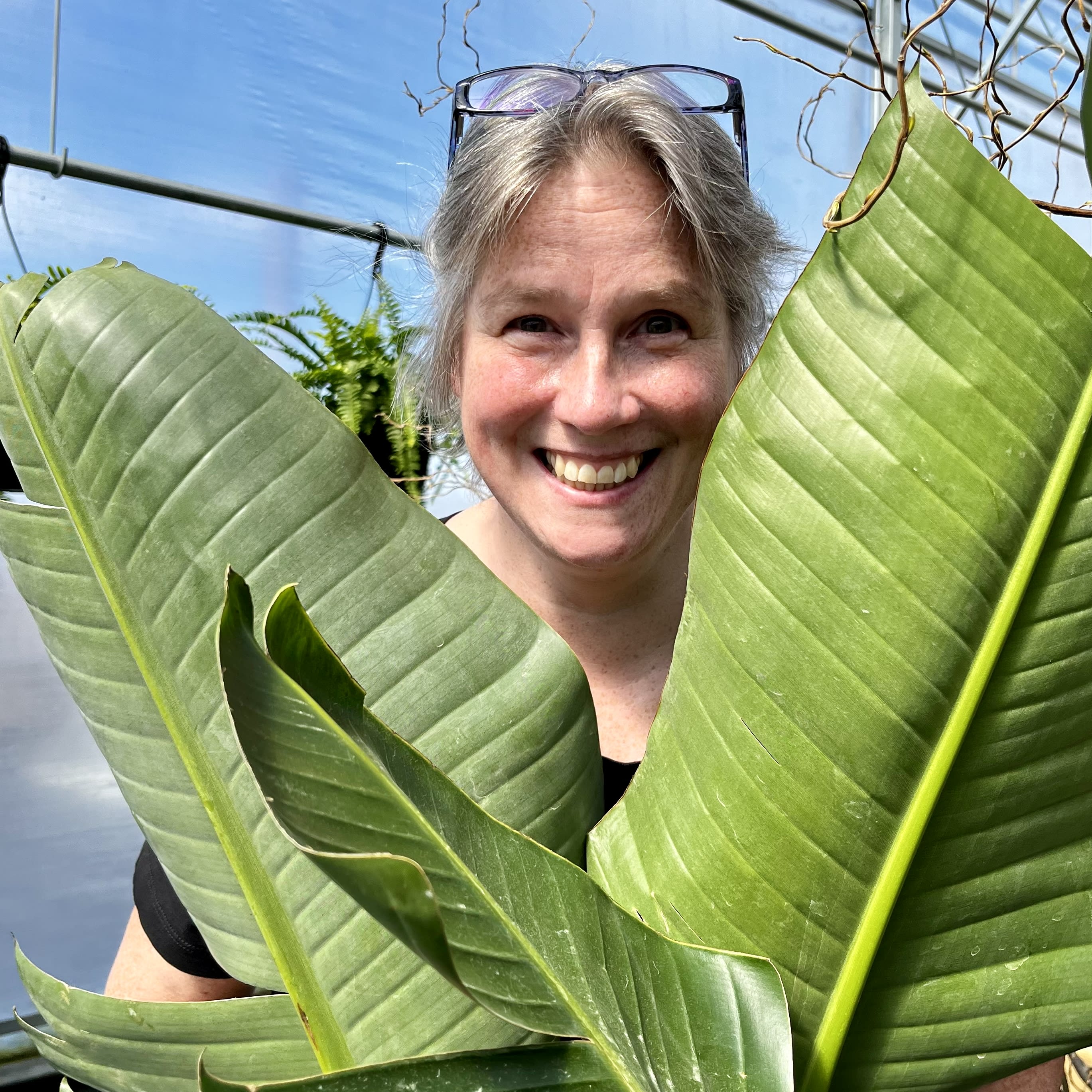 Alison | Brockville | Gemmell's Garden Centre