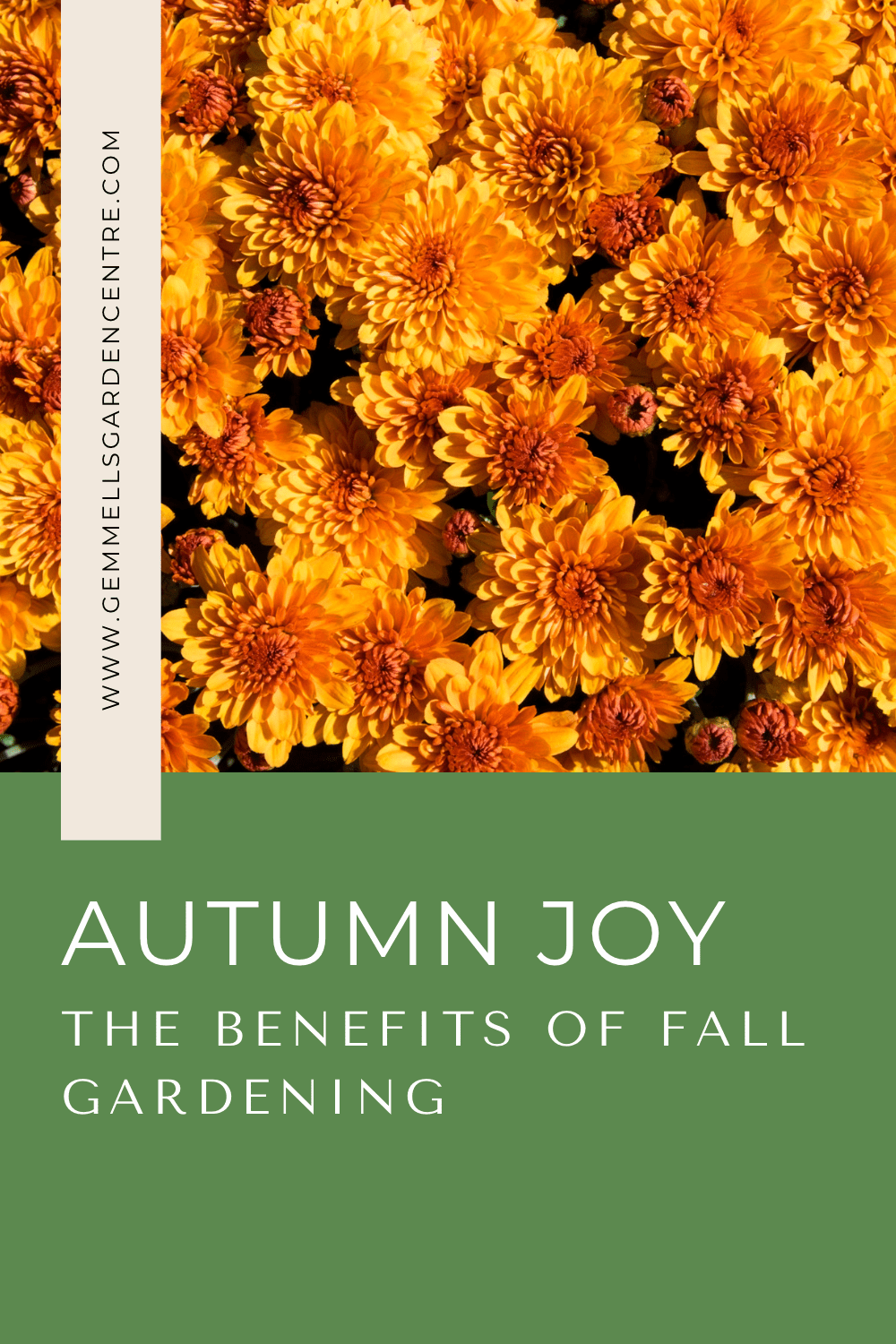 Autumn Joy: The Benefits of Fall Gardening 