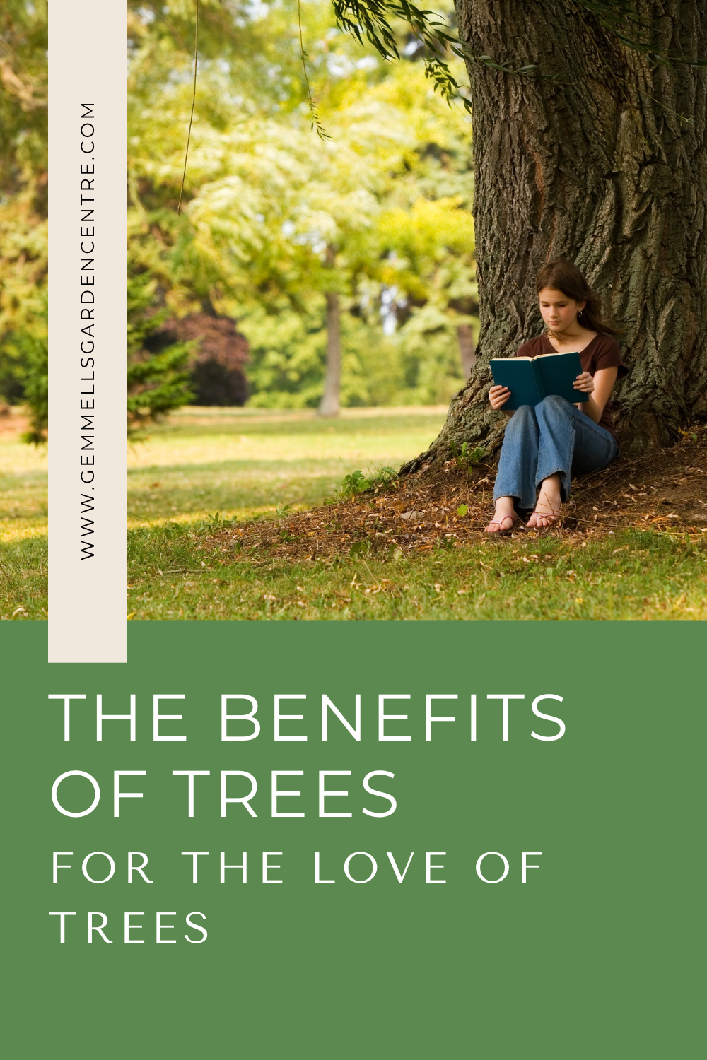 Benefits of Trees | For the Love of Trees