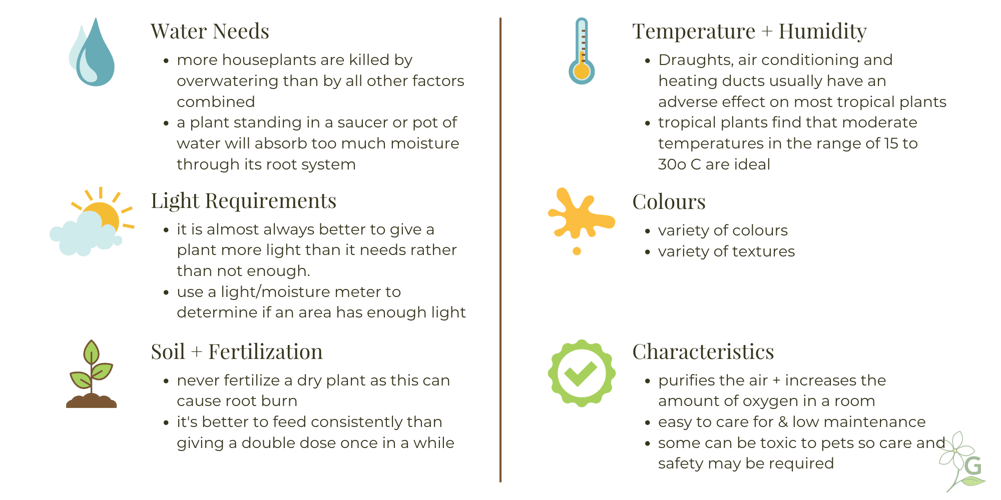  Caring for Houseplants | Information | Gemmells Garden Centre