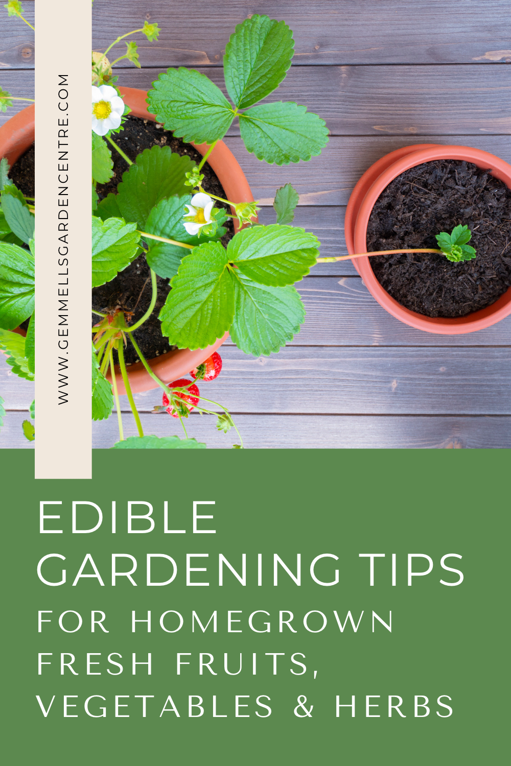 Edible Gardening Tips for Homegrown Fresh Fruits, Vegetables & Herbs