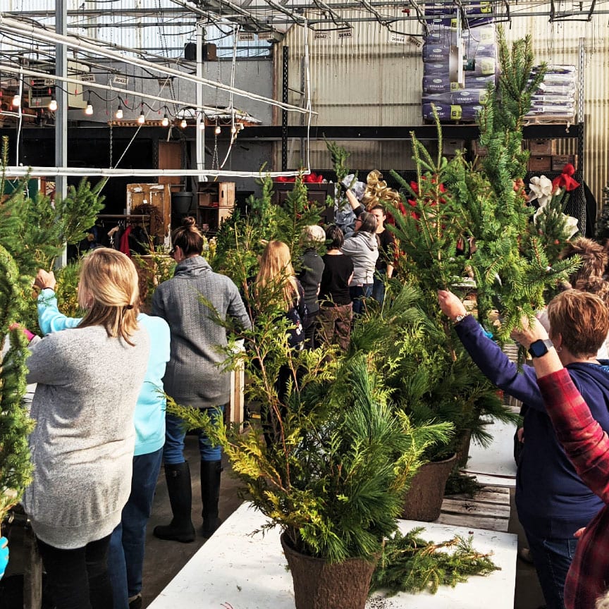 Christmas at Gemmell's | Gemmell's Garden Centre | Workshops