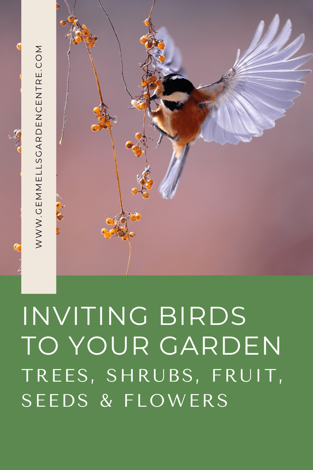 Inviting Birds to your Garden | Trees, Shrubs, Fruit, Seeds & Flowers