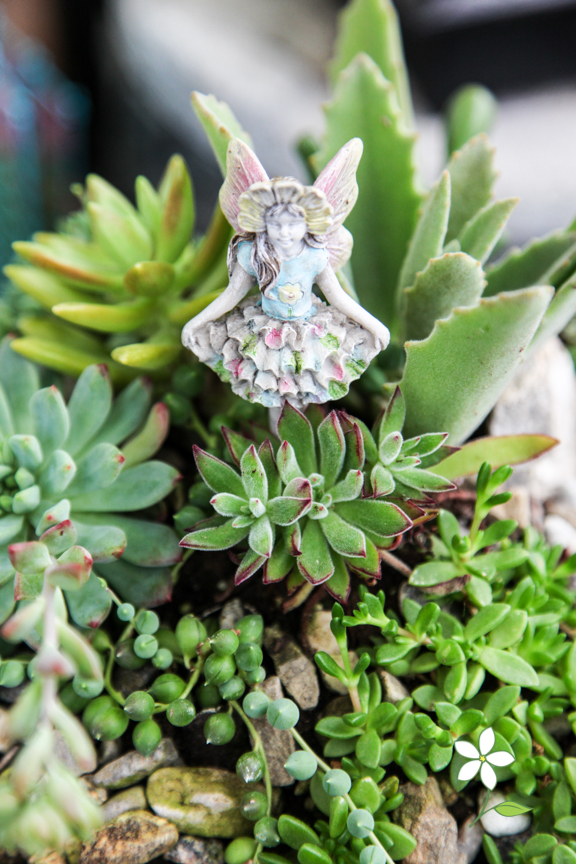 Tips on How to Create Your Very Own Fairy Garden