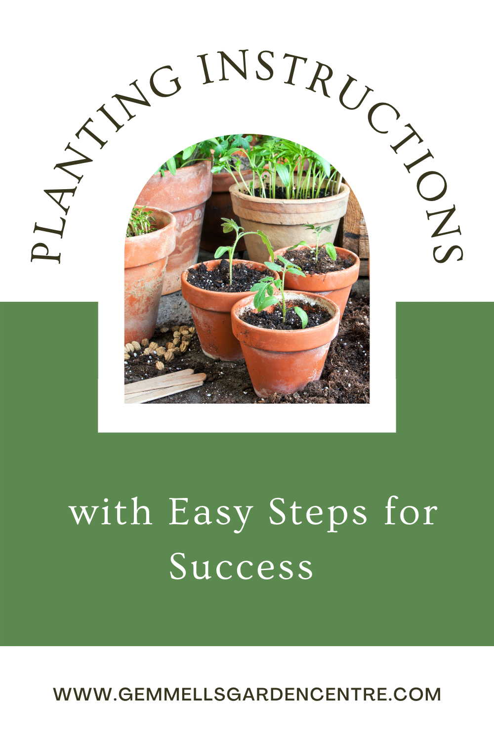 Planting Instructions with Easy Steps for Success | Gemmells Gareden Centre