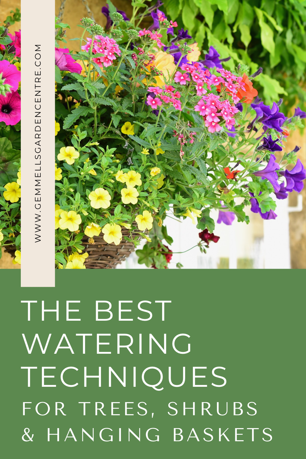Proper Watering Techniques for your Trees, Shrubs & Hanging Baskets