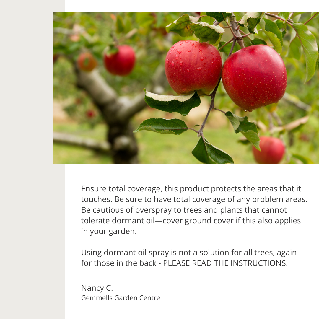 Tips for Protecting Your Fruit Tree | Gemmell's Garden Centre