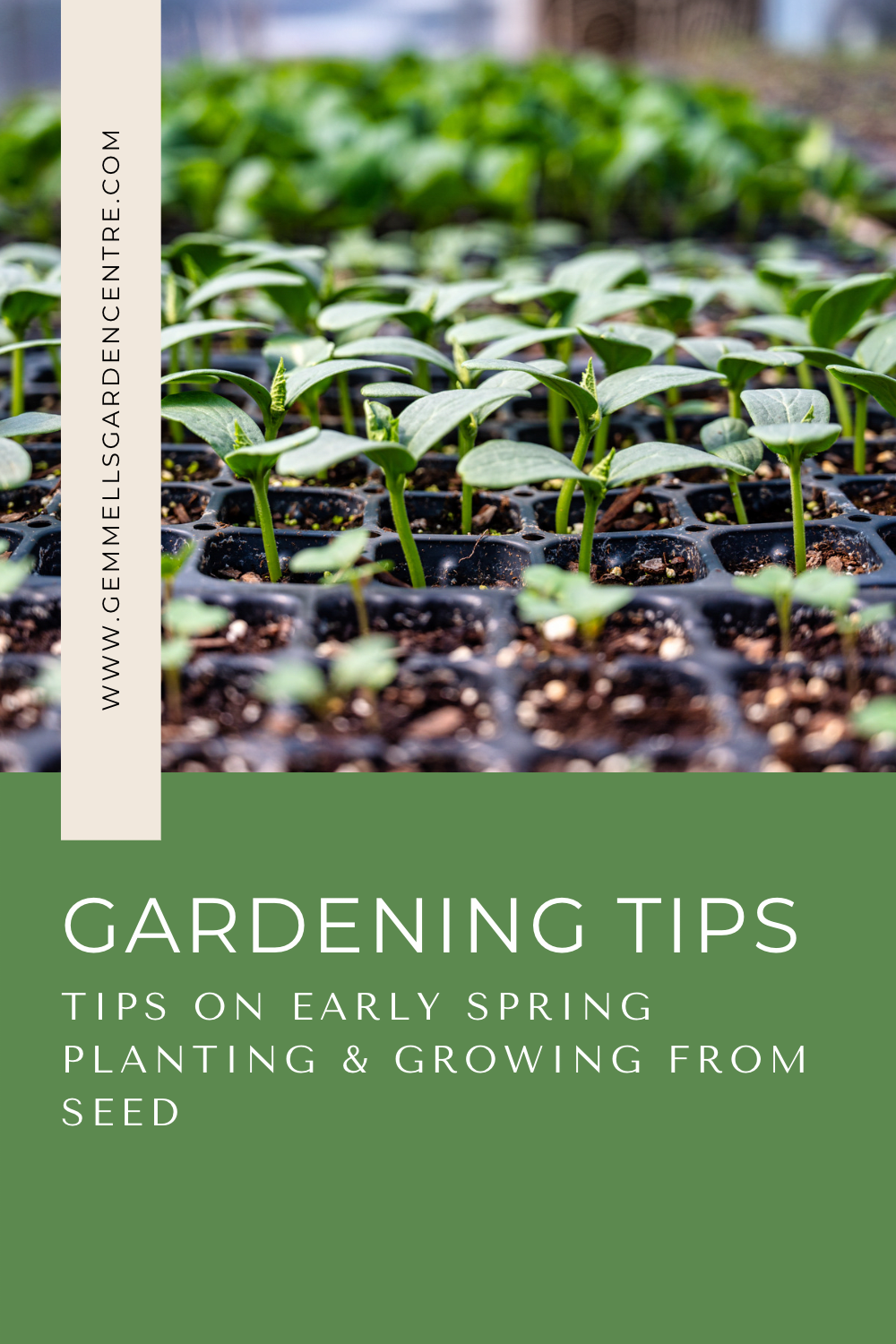 Tips on Early Spring Planting & Growing from Seed 