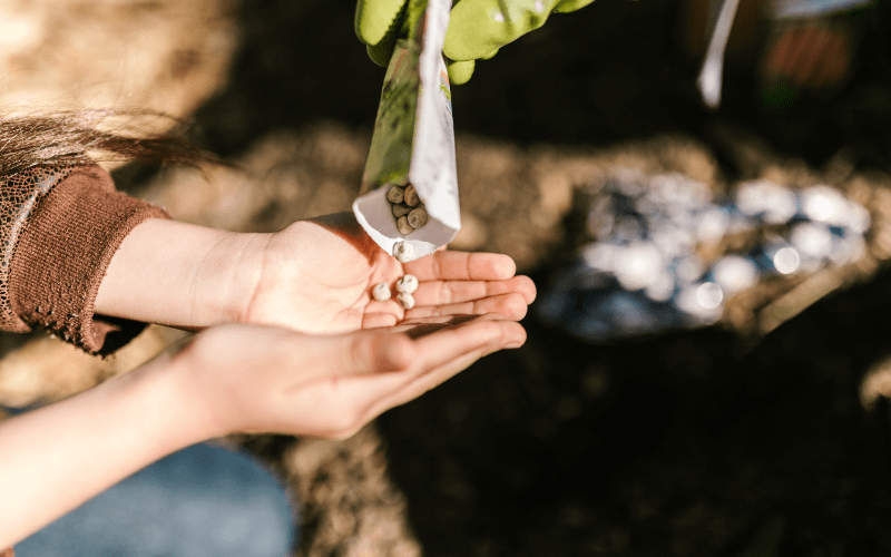 Smiths Falls Seeds Starting Mixes Grow Your Own | Gemmell's Garden Centre