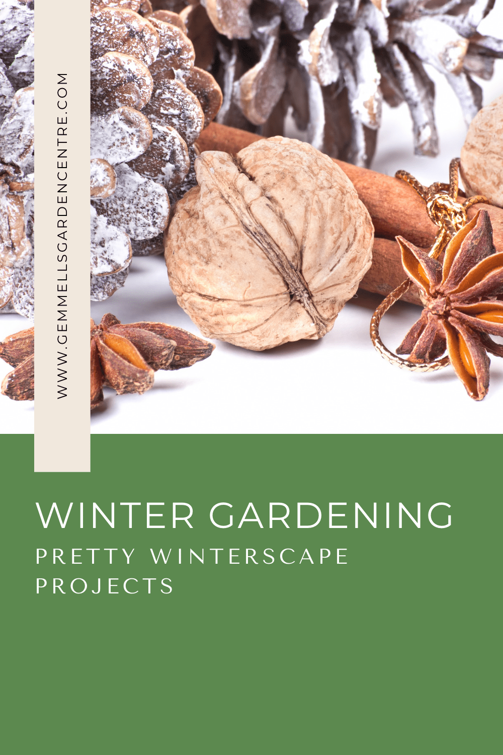 fun and low maintenance Winter Projects