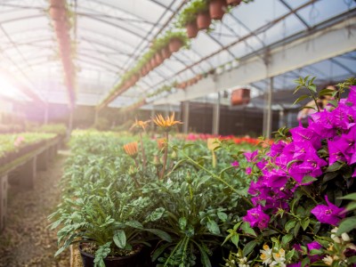 Phone & Location, Gemmell's Garden Centre, Smiths Falls, Brockville