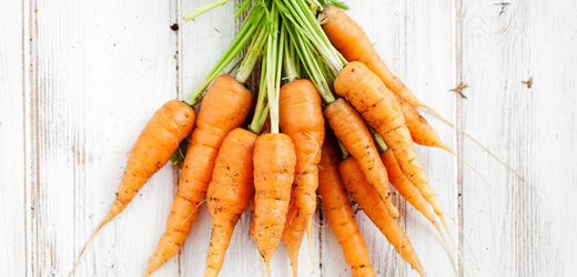 Vegetables & Herbs, Smiths Falls Garden Centre